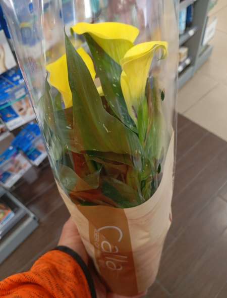 Cherche femme ma�tresse pour plaisirs sexe