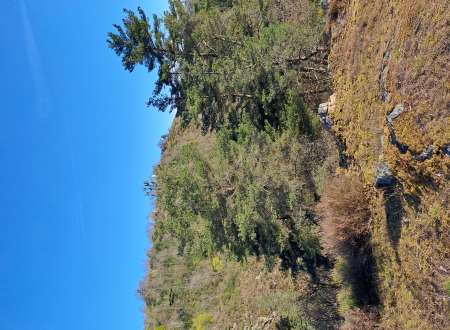 Sensualit� et �vasion