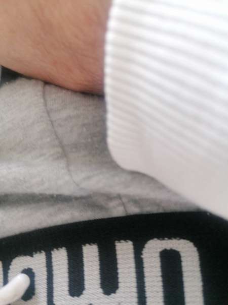 Promenade dans le bois