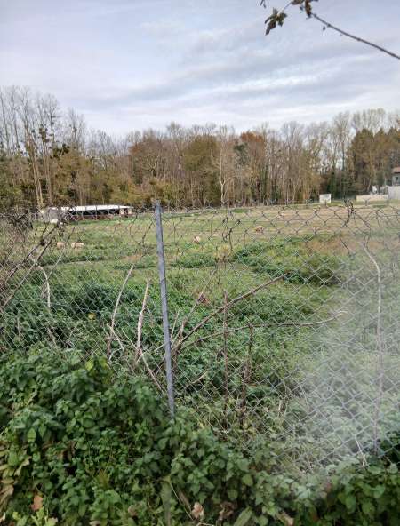 Homme rend service pour femmes