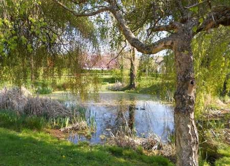 A SAISIR Une nouvelle vie ....