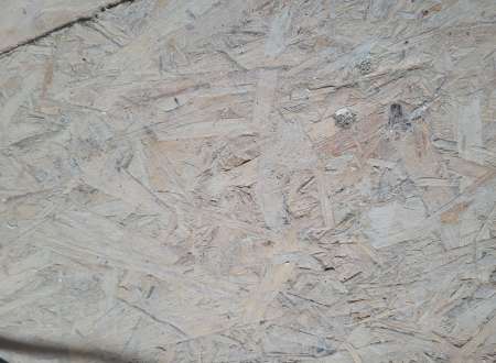 Bonjour les dammes je suis un bel homme