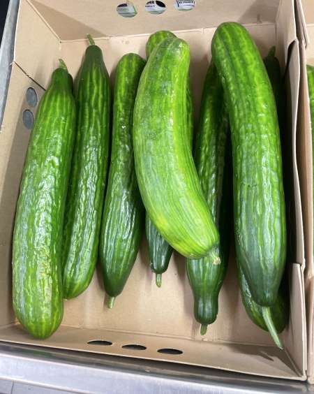 Homme recherche photographe masseur location appar