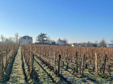 Massage �nerg�tique