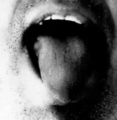 Plan ext�rieur buccal