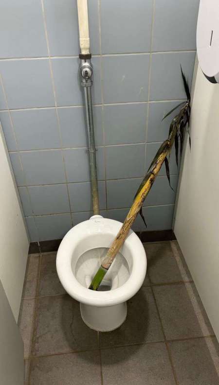 Jh pour sa première fois