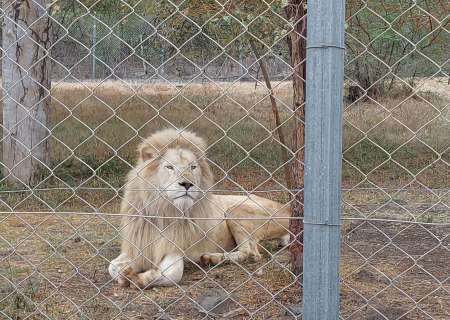 Soumis fetichiste des pieds