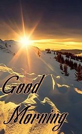 Trans 27ans actif et passif