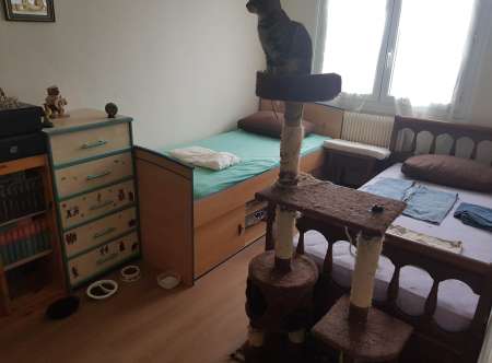 Pr JF,F cherchant où dormir et de la stabilite